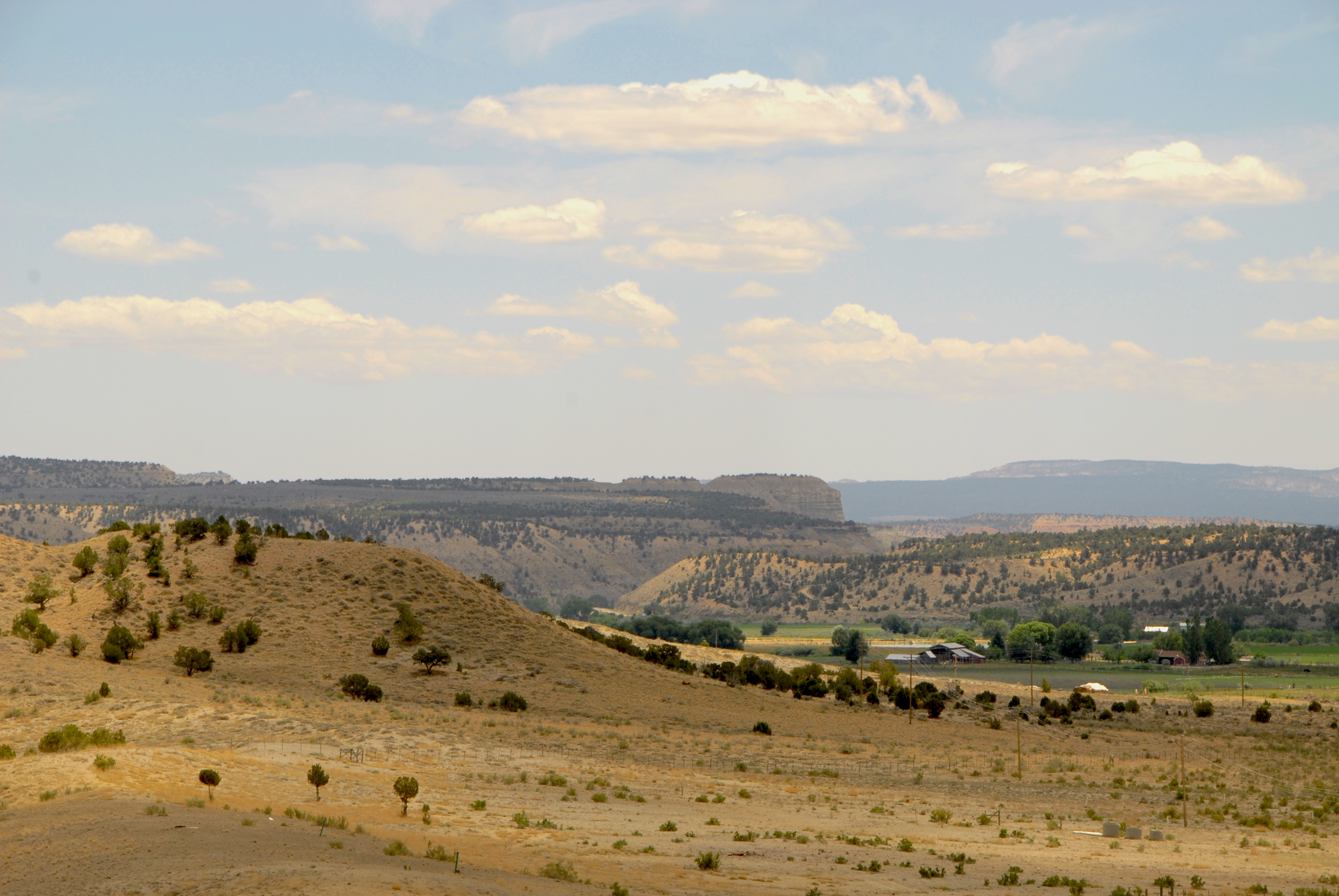 View from Buffalo Sage