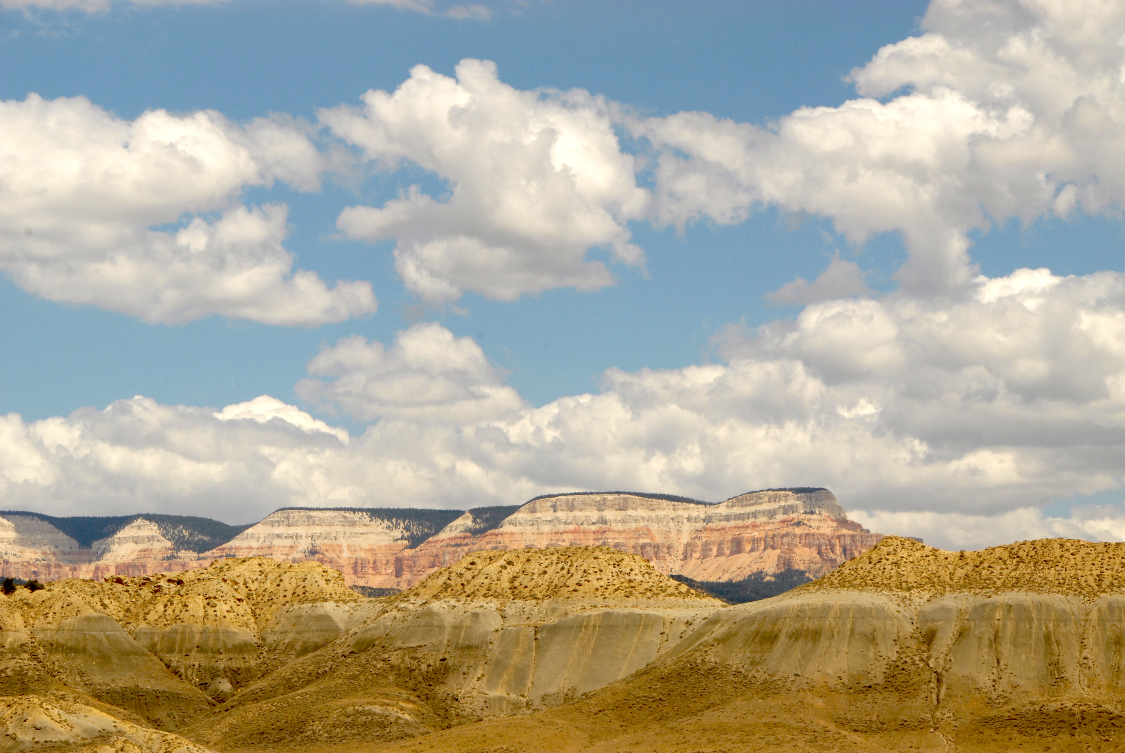 Red Rock Vista